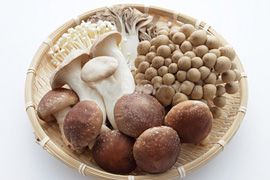 �m��ꂴ�邫�̂��p���[