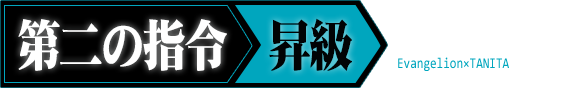 第二の指令 昇級