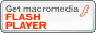 Download a flashplayer