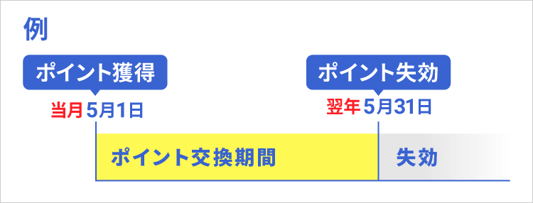 からだカルテポイント失効スケジュール