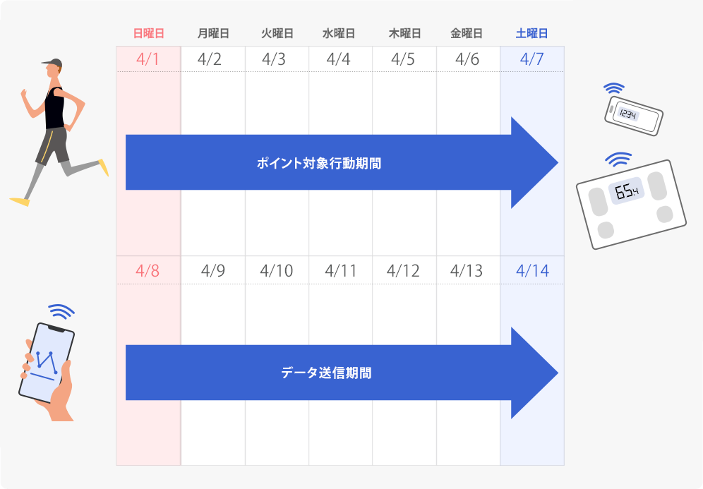 からだカルテポイントスケジュール