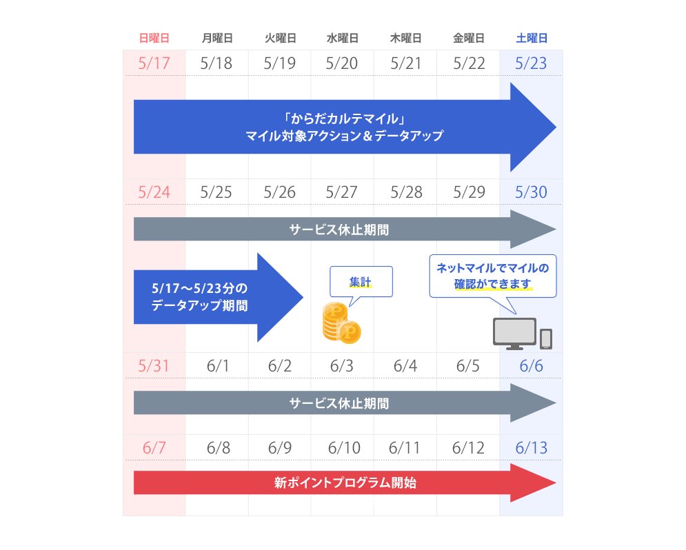 からだカルテマイルスケジュール