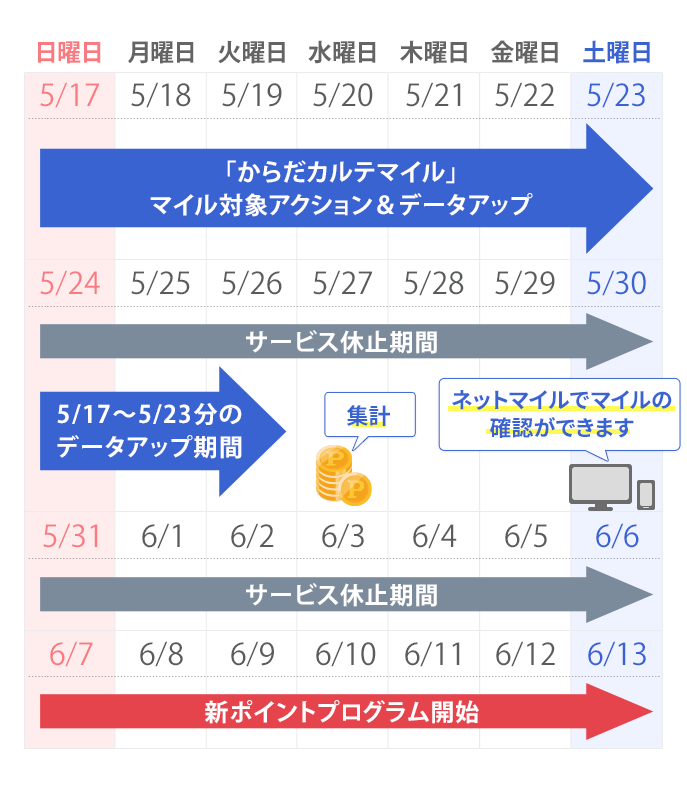 からだカルテマイルスケジュール