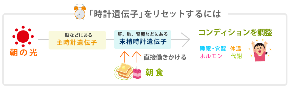 ソース画像を表示