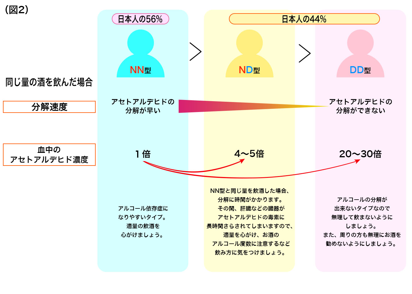 美の遺伝子を変えることはできるのでしょうか?