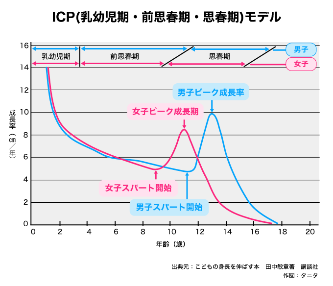 ICP（乳幼児期・前思春期・思春期）モデル