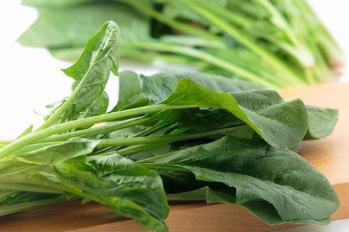 目的に合わせて野菜を上手に選ぼう 青菜編 からだカルテ