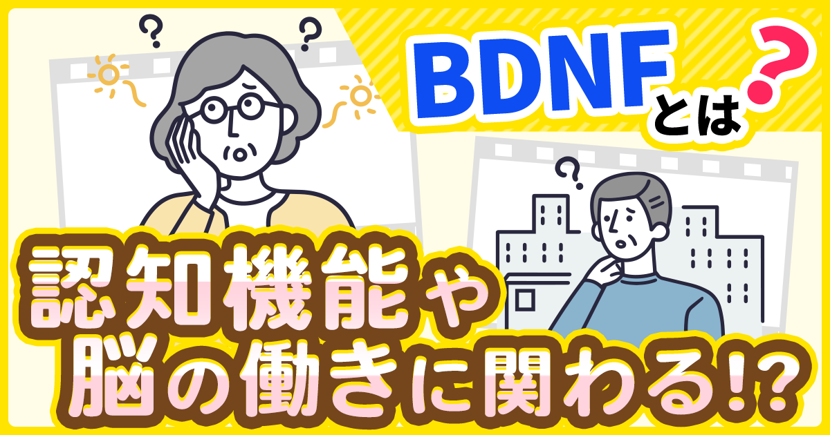 認知機能の維持などに関わる栄養素BDNFとは？｜からだカルテ