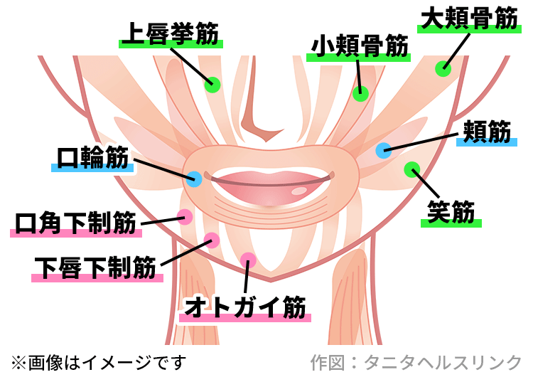 「マスク老け」にストップ！表情筋を鍛えよう