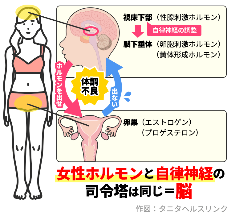 更年期ジェットコースター