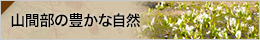 山間部の豊かな自然