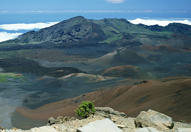 マウイ島