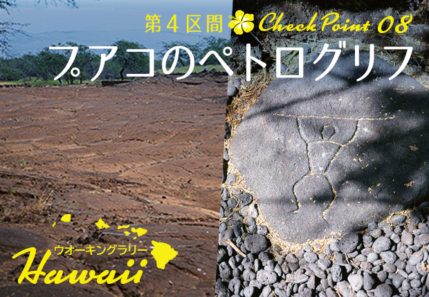 プアコのペトログリフ