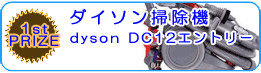 1ʁ@_C\|@@dyson DC12Gg[