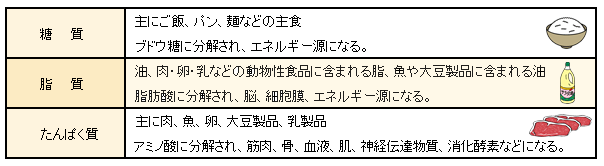 代謝を活発に 脂肪を溜めない食べ合わせ からだカルテ