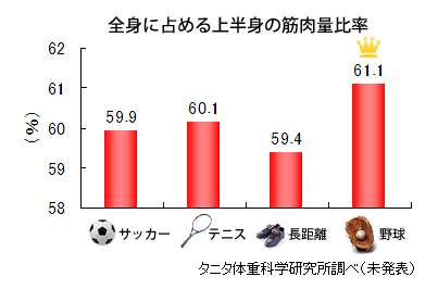 上半身の筋肉