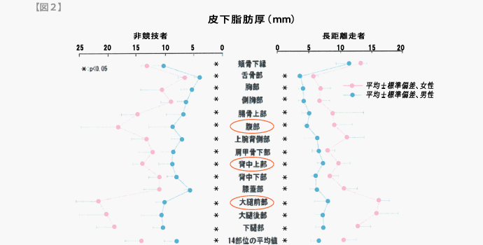 年齢と皮下脂肪の関係