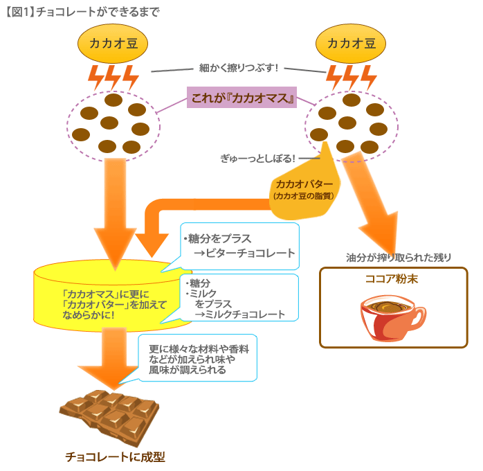 チョコレート 効果 どれがいい