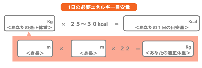 1日のエネルギー量目安