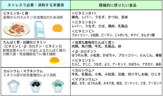 ストレス解消に役立つ栄養素