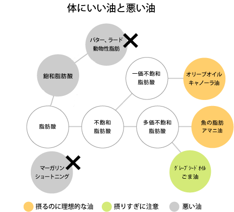 体にいい油と悪い油 イメージ