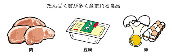 たんぱく質が多く含まれる食品