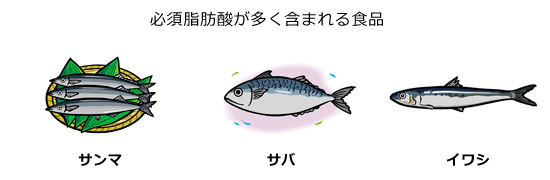 必須脂肪酸が多く含まれる食品